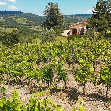 Tenuta Il Poggetto Radda in Chianti Dış mekan fotoğraf
