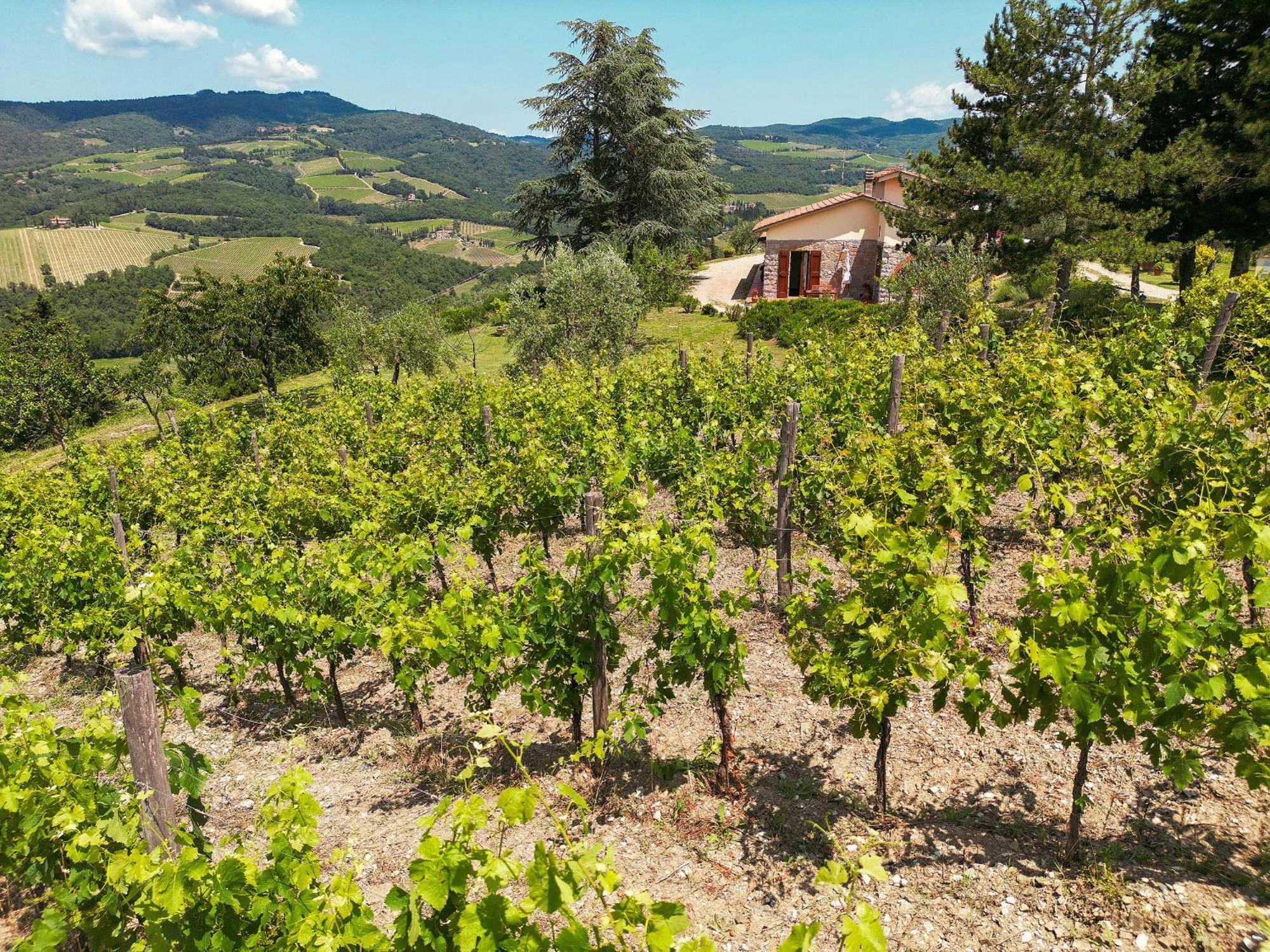 Tenuta Il Poggetto Radda in Chianti Dış mekan fotoğraf