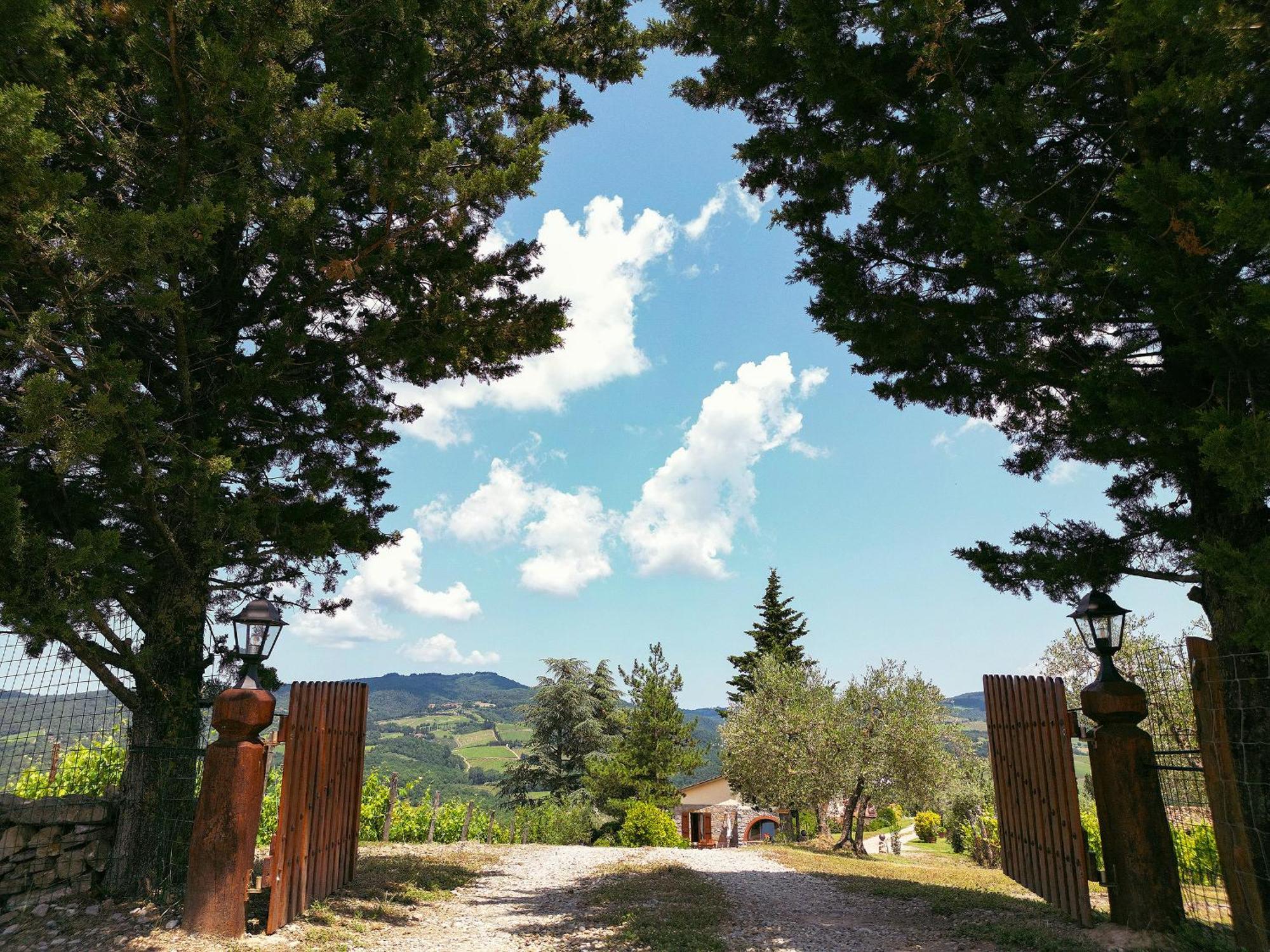 Tenuta Il Poggetto Radda in Chianti Dış mekan fotoğraf