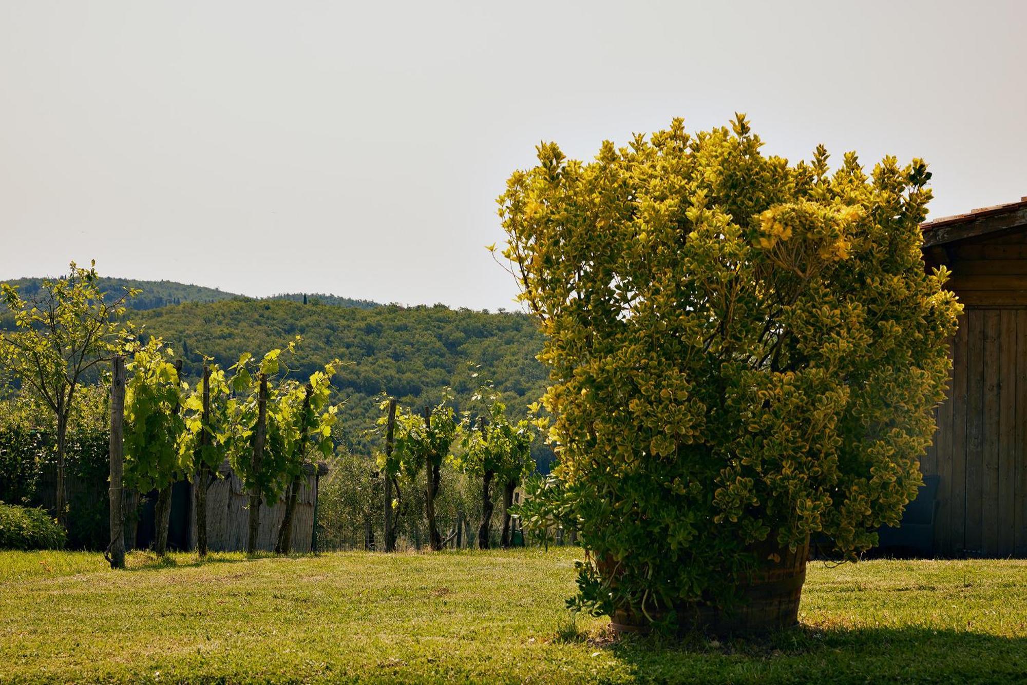 Tenuta Il Poggetto Radda in Chianti Dış mekan fotoğraf