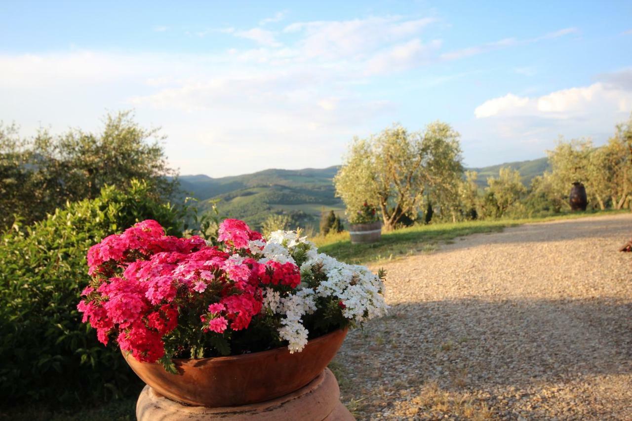 Tenuta Il Poggetto Radda in Chianti Dış mekan fotoğraf